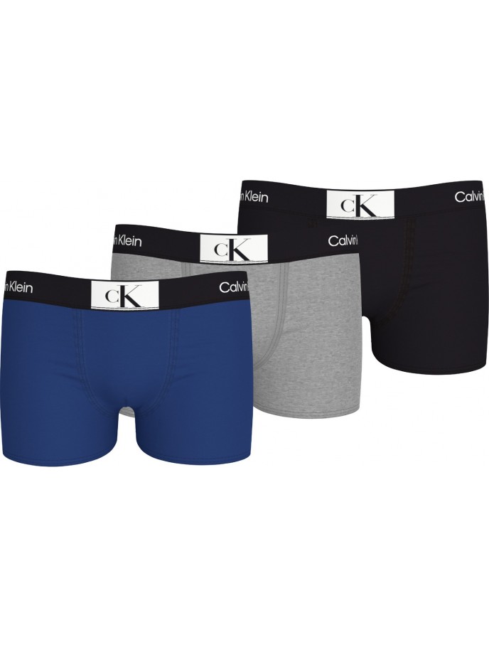 BOXERS NIÑO CALVIN KLEIN B70B7004860SN