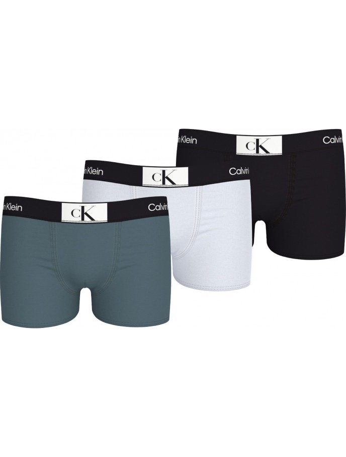 BOXERS NIÑO CALVIN KLEIN B70B7004860TY