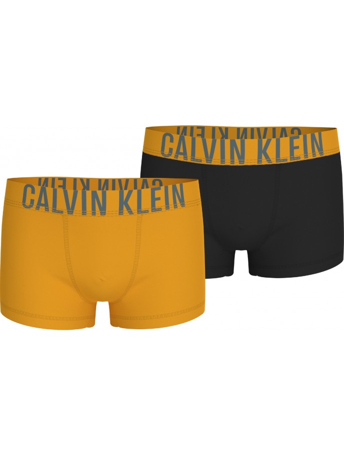 BOXERS NIÑO CALVIN KLEIN B70B7004880W7