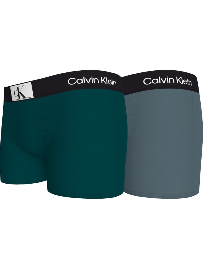 BOXERS NIÑO CALVIN KLEIN B70B7004970TW